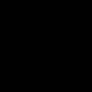 Meet your Posher, Adriana